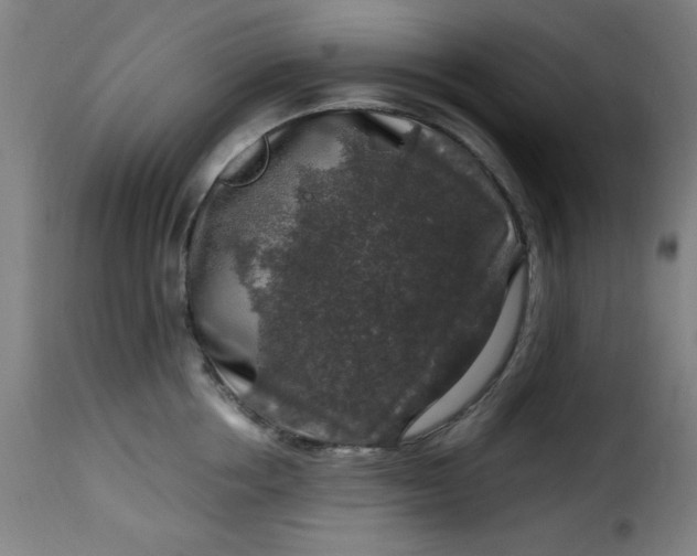 X0000115480858200911201838