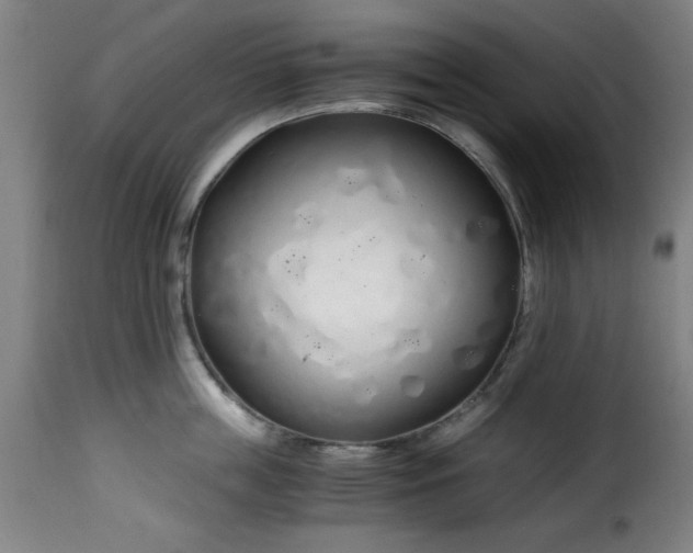 X0000115480859200911201838