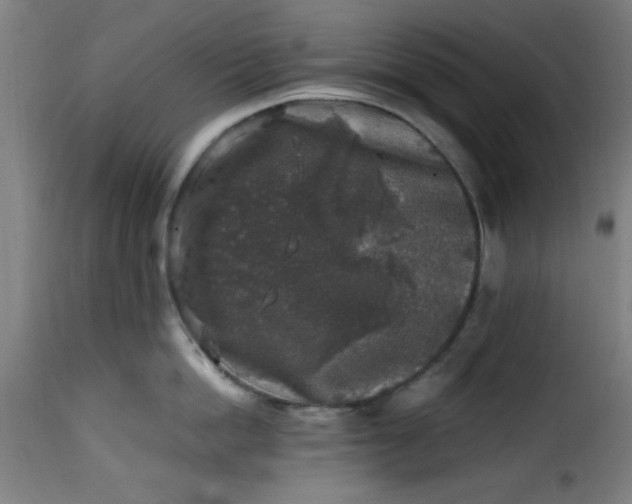 X0000115480862200911201838