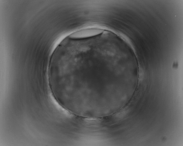 X0000115480863200911201838