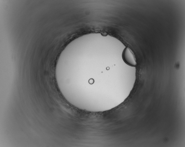 X0000115480865200911201837