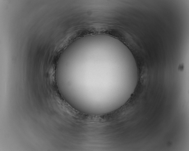 X0000115480866200911201837