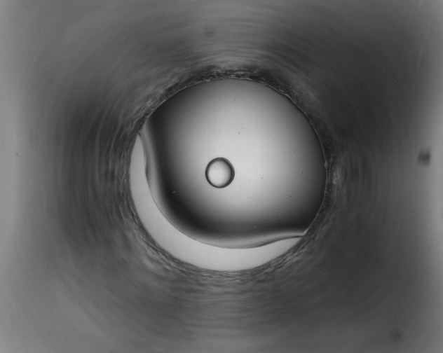 X0000115480868200911201837