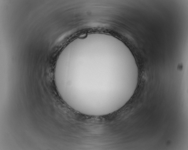 X0000115480869200911201837