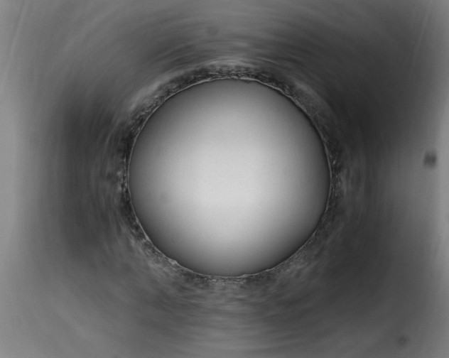 X0000115480870200911201837