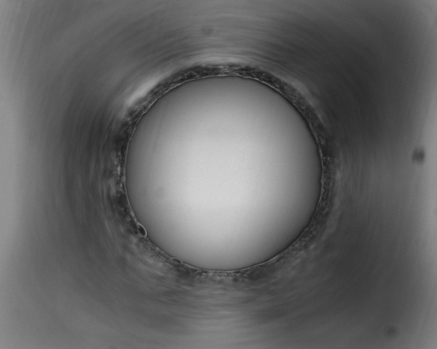 X0000115480871200911201837