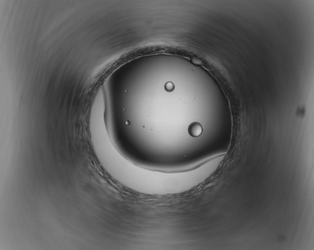 X0000115480872200911201837