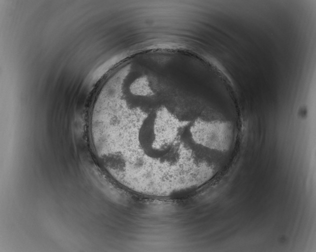 X0000115480874200911201837