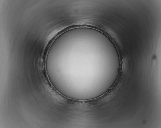 X0000115480876200911201837