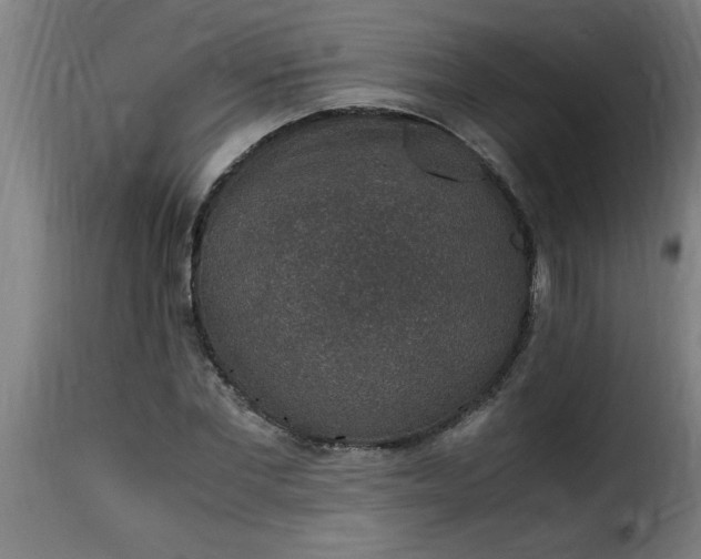 X0000115480877200911201837