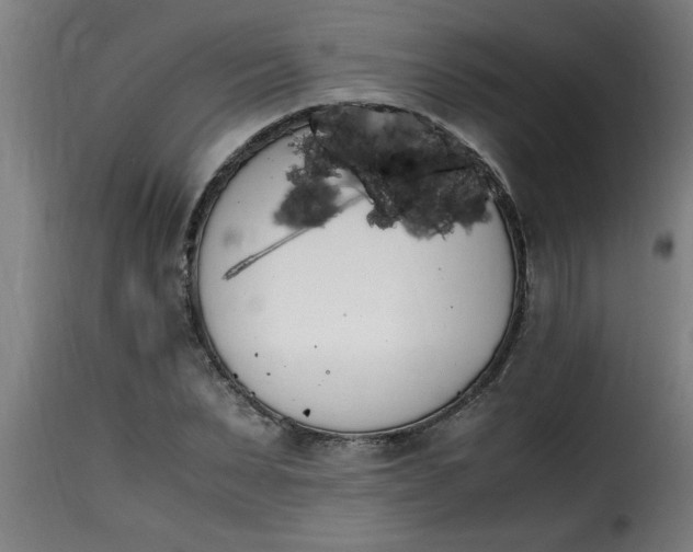 X0000115480879200911201837