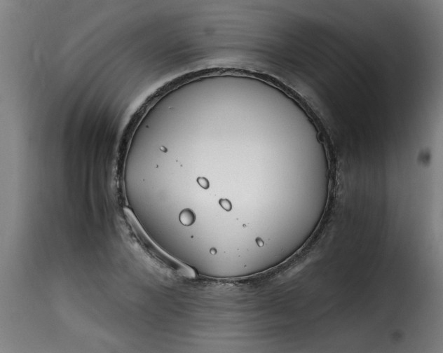 X0000115480880200911201837