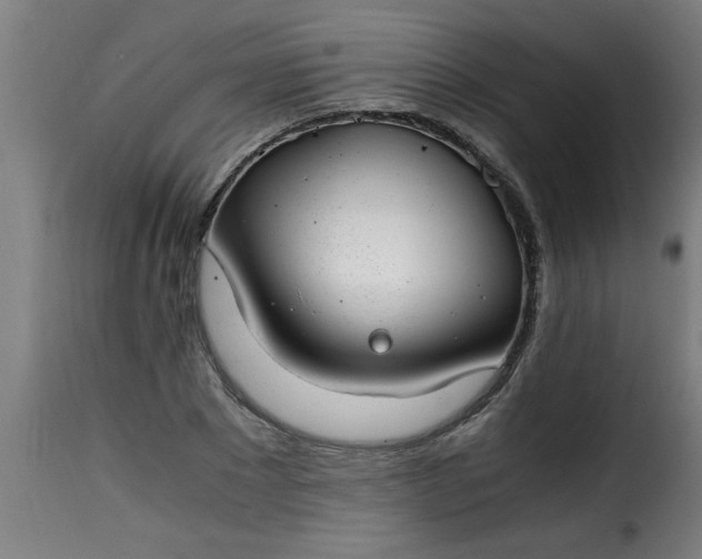 X0000115480881200911201837