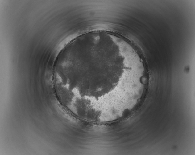 X0000115480882200911201837