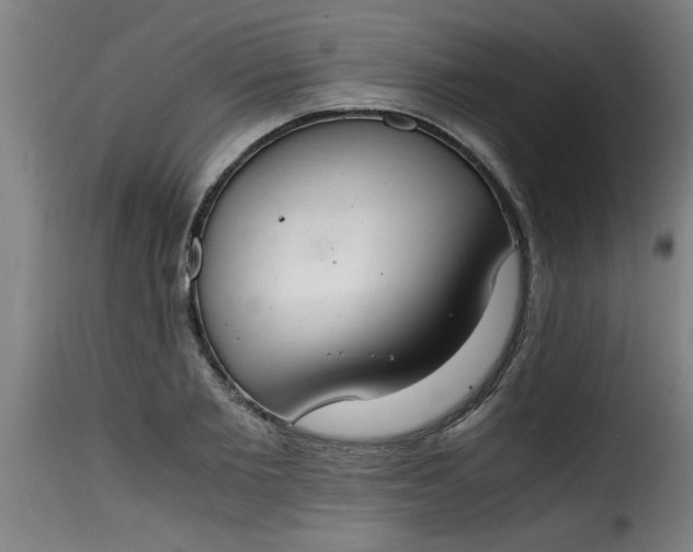 X0000115480885200911201837