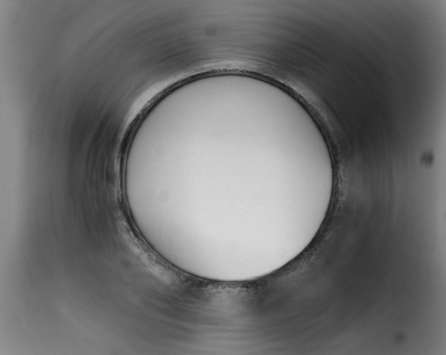 X0000115480886200911201837