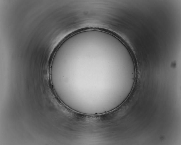 X0000115480887200911201837