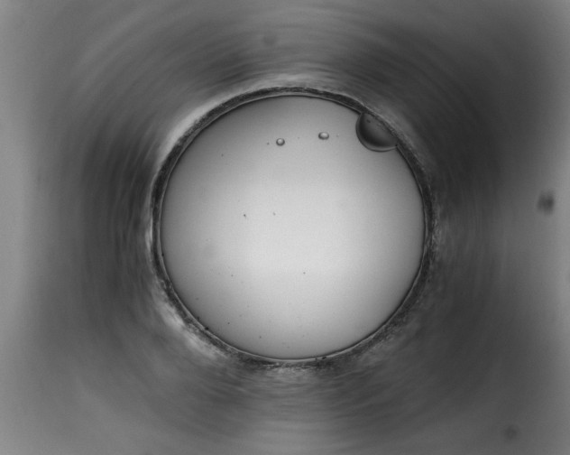 X0000115480888200911201837