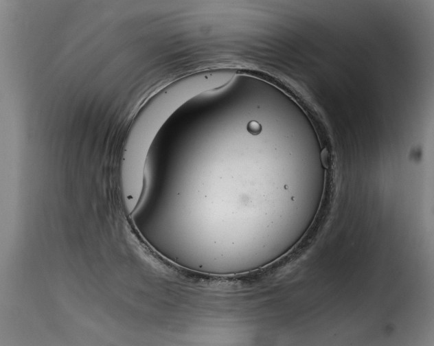 X0000115480889200911201837