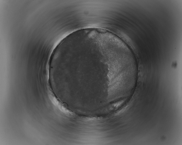 X0000115480892200911201837