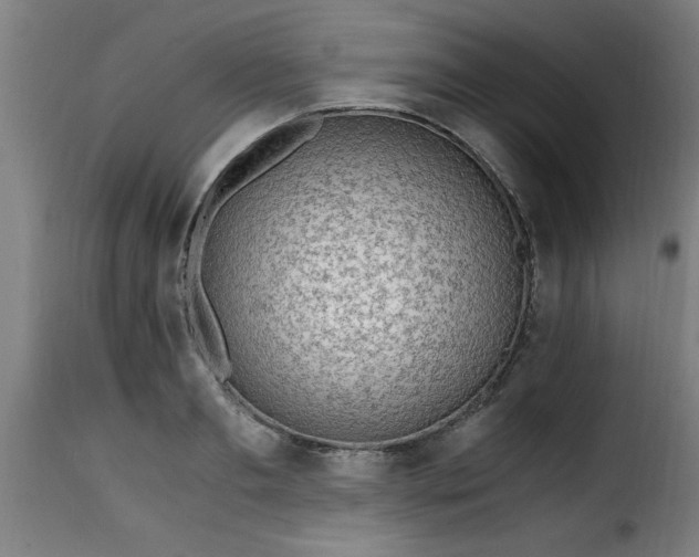 X0000115480893200911201837