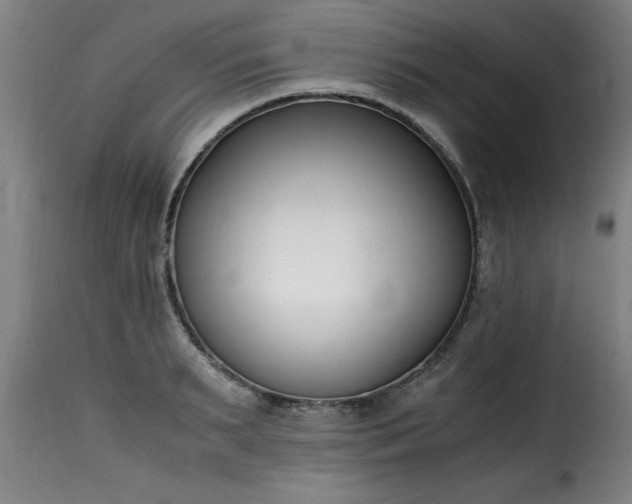 X0000115480895200911201837