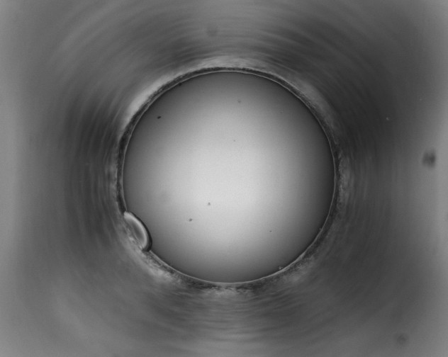 X0000115480896200911201837