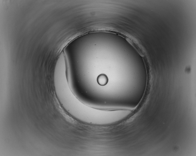 X0000115480897200911201837