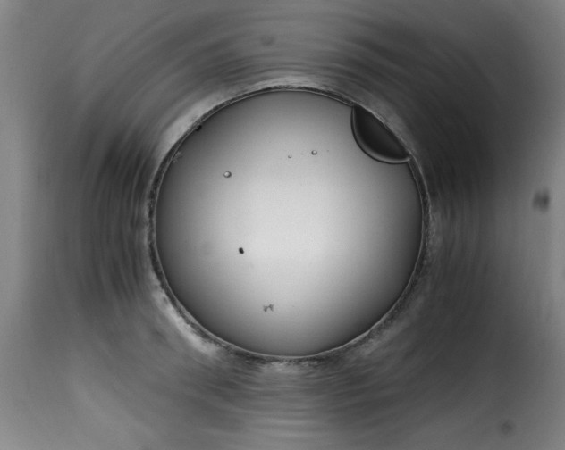 X0000115480898200911201837