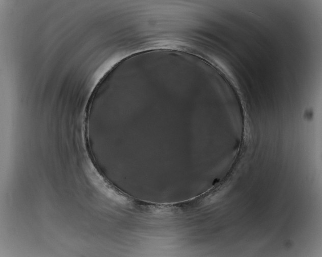 X0000115480899200911201837