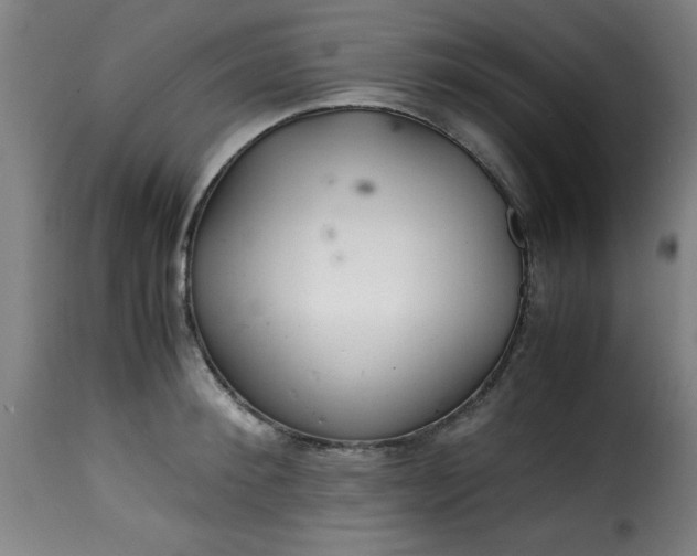 X0000115480900200911201837