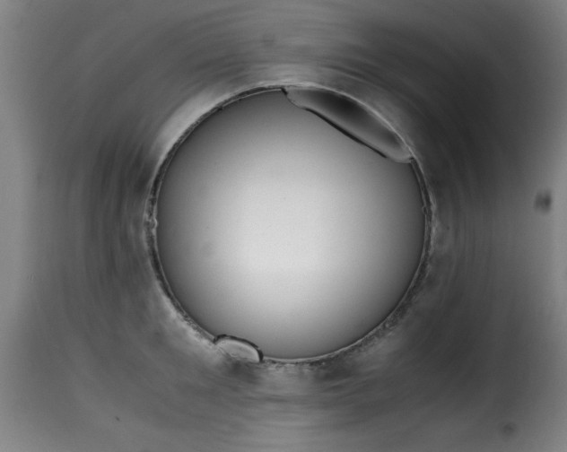 X0000115480901200911201837