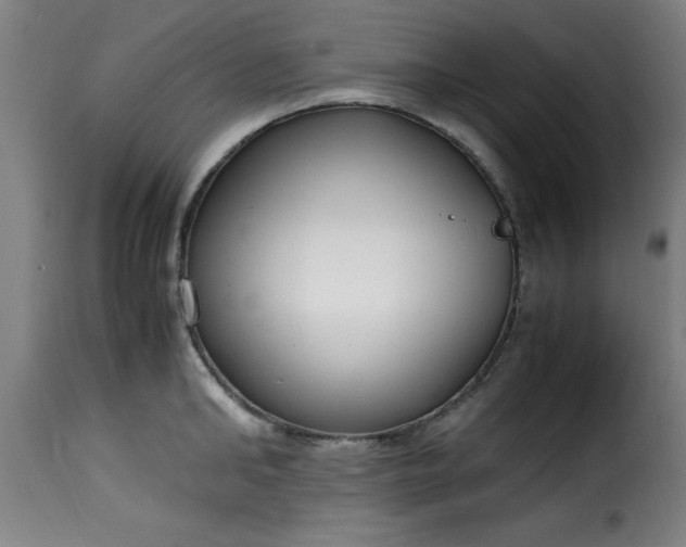 X0000115480902200911201837