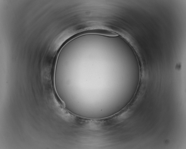 X0000115480905200911201837