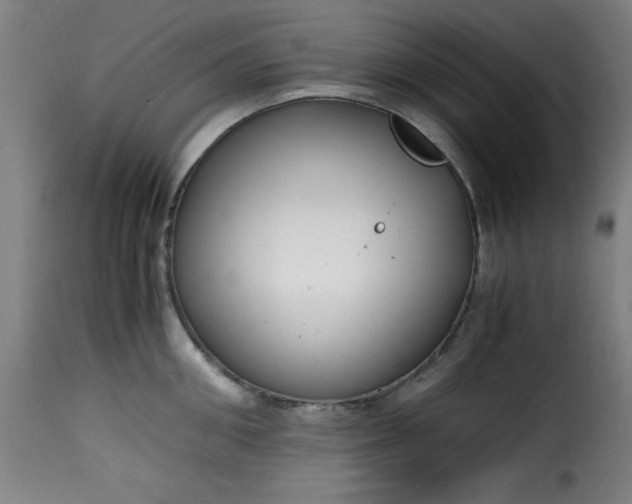 X0000115480906200911201837