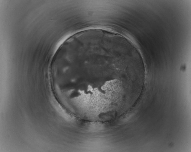 X0000115480907200911201837