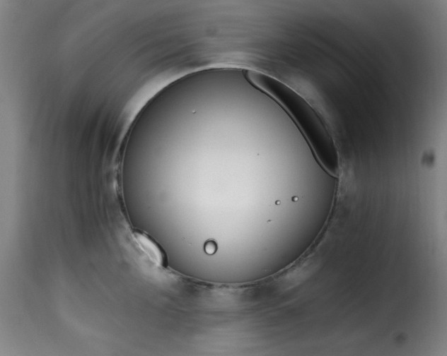 X0000115480908200911201837