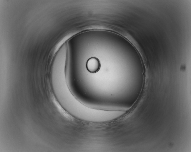 X0000115480909200911201837