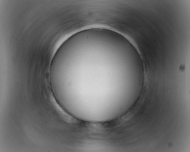 X0000115480911200911201837