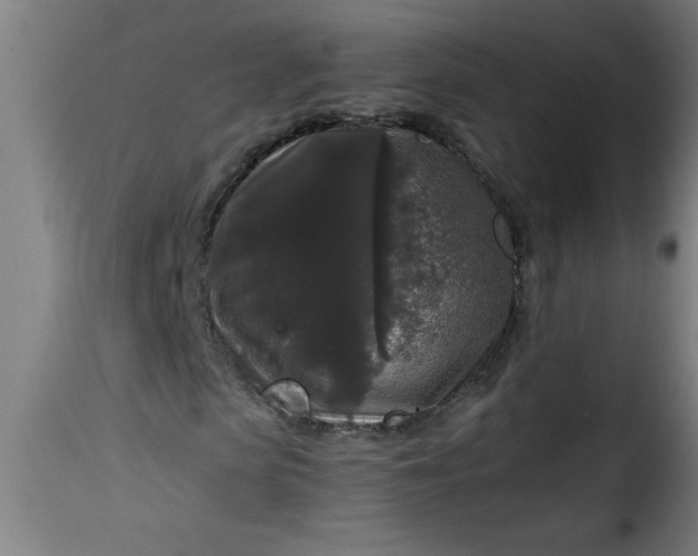 X0000115480913200911201836