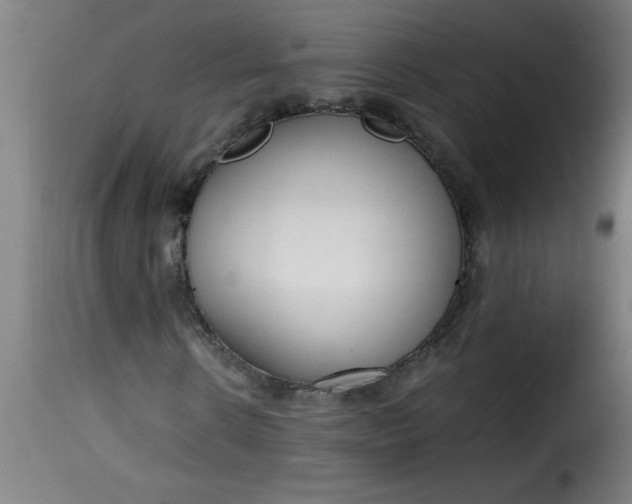 X0000115480914200911201836