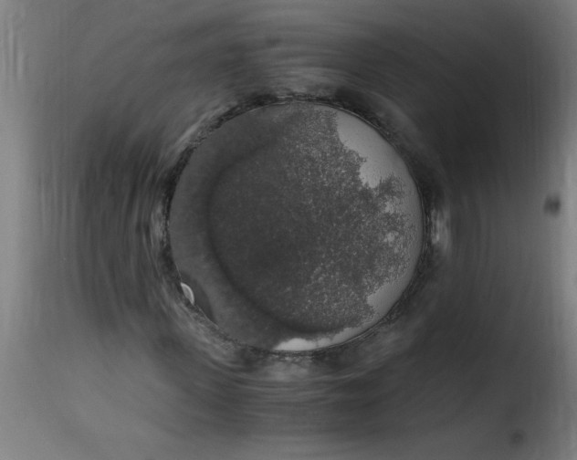 X0000115480915200911201836