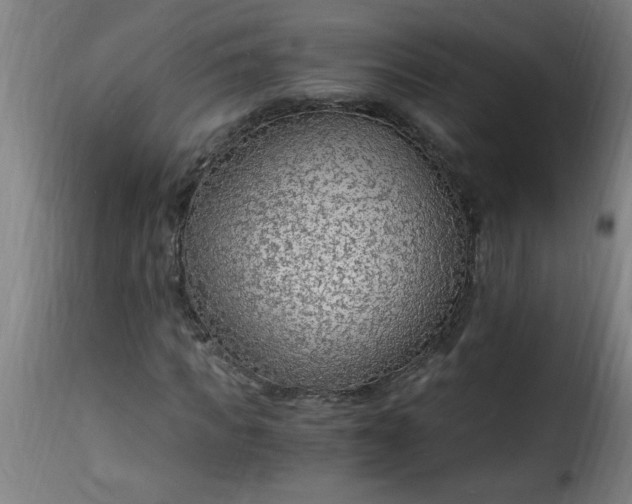 X0000115480917200911201836