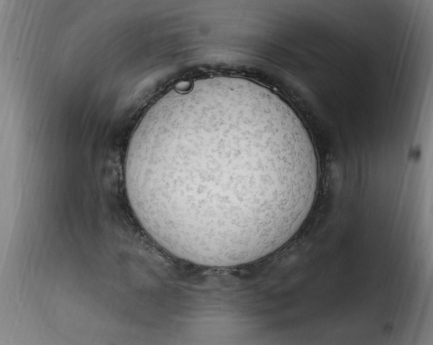 X0000115480918200911201836