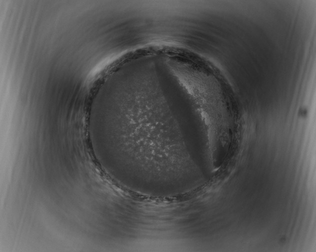 X0000115480919200911201836