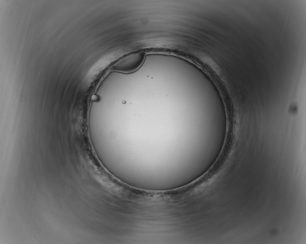 X0000115480922200911201836