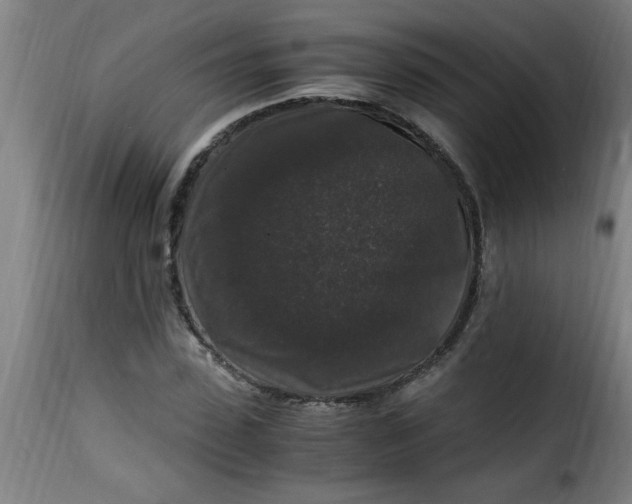 X0000115480923200911201836