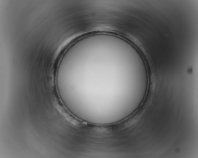 X0000115480931200911201836