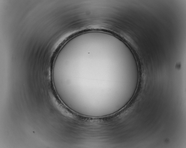 X0000115480934200911201836