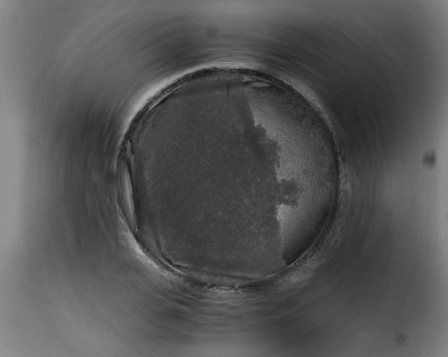 X0000115480935200911201836